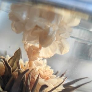 Meet your Posher, Cara